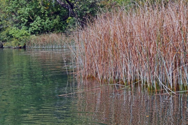 Am Wasser - (c) R Plock.jpg